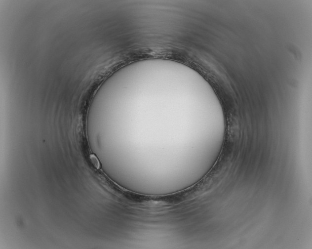 X0000113030748200909101857