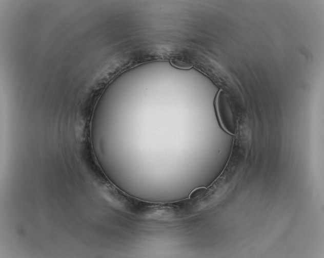 X0000113030750200909101857