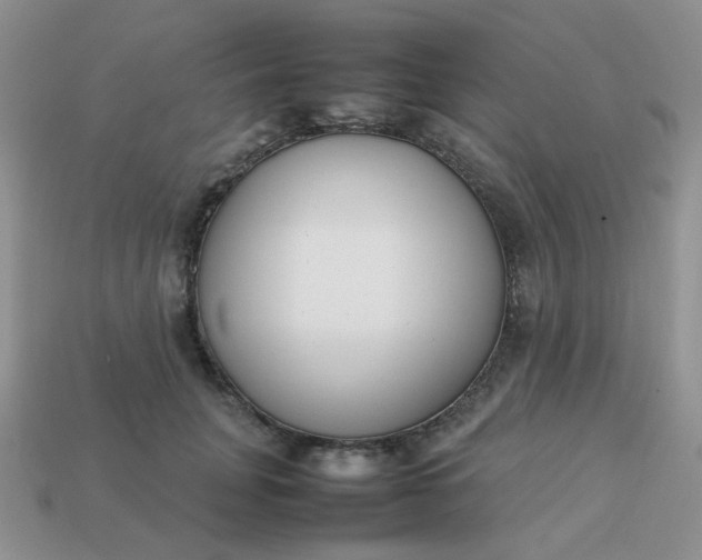 X0000113030751200909101857