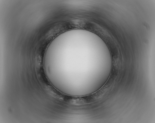 X0000113030752200909101857