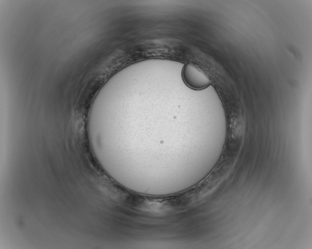 X0000113030753200909101857