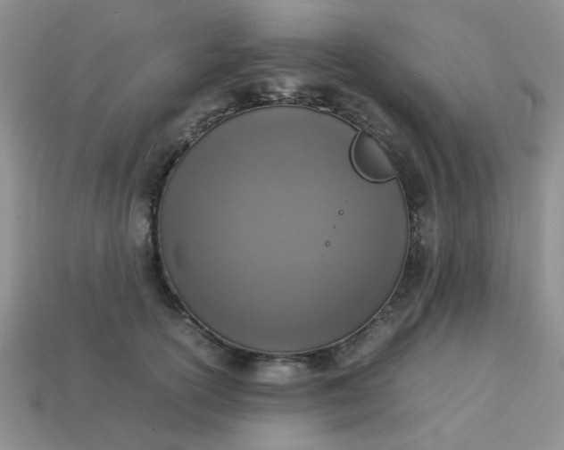 X0000113030754200909101857