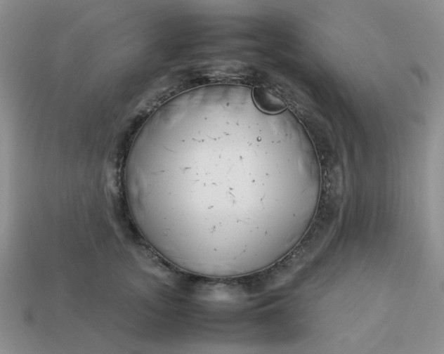 X0000113030755200909101858