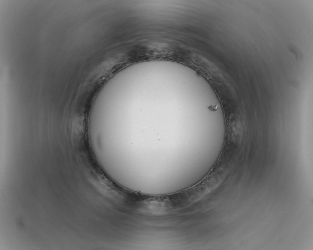 X0000113030756200909101858