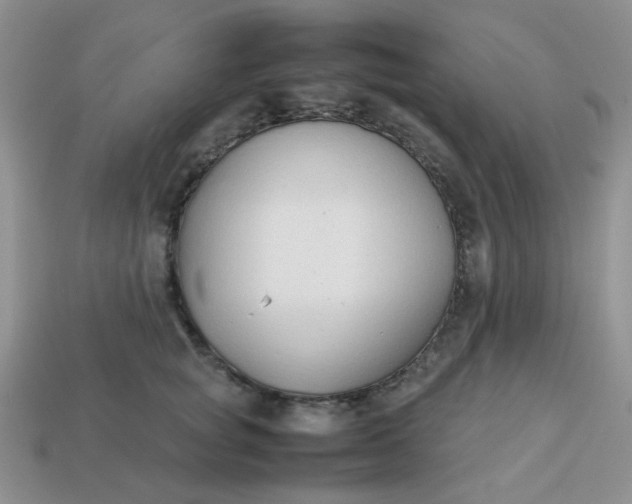 X0000113030757200909101858