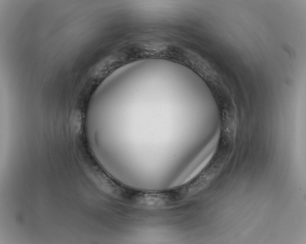 X0000113030758200909101858