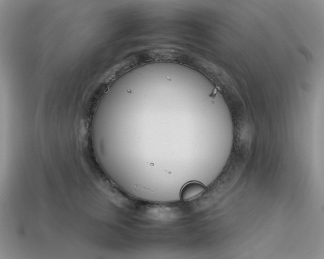 X0000113030759200909101858