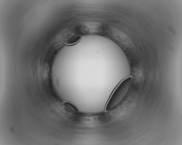 X0000113030760200909101858