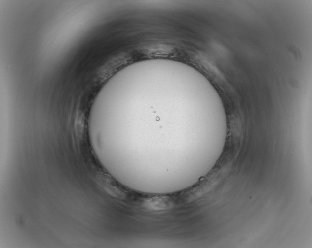 X0000113030761200909101858