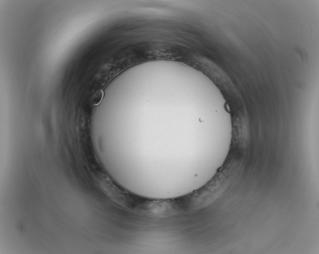 X0000113030762200909101858