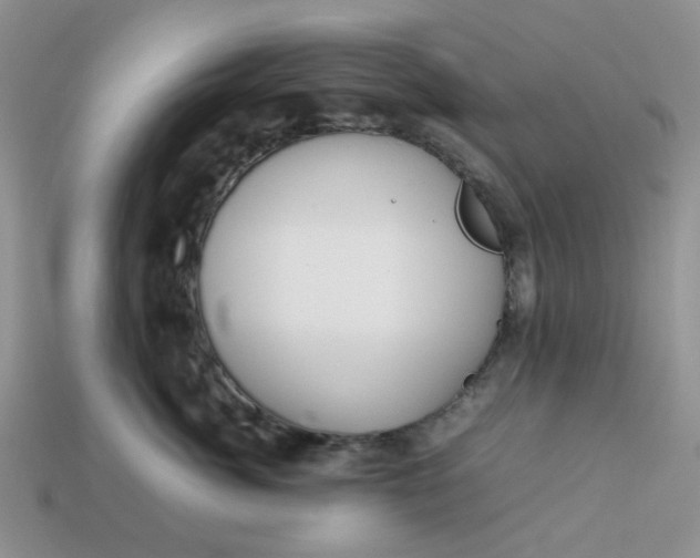 X0000113030764200909101858