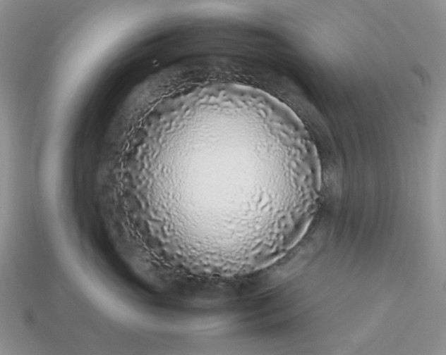 X0000113030765200909101858