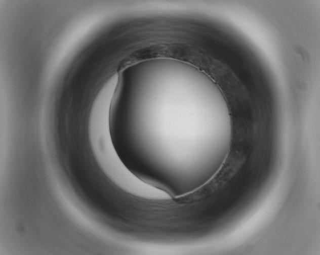 X0000113030766200909101858