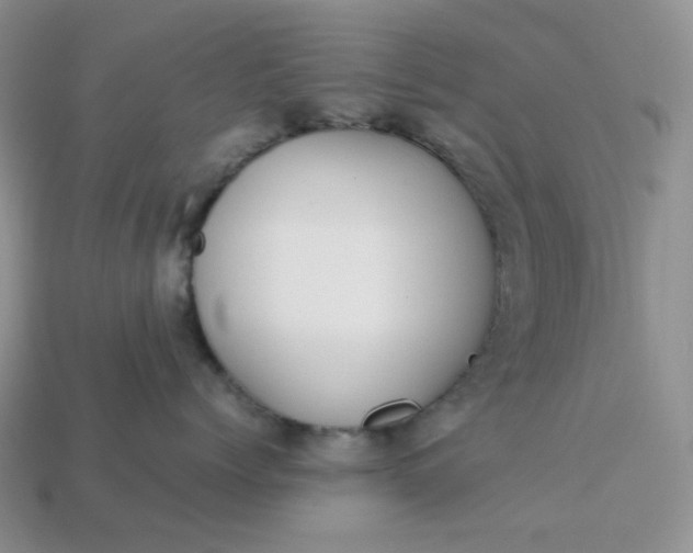 X0000113030768200909101858