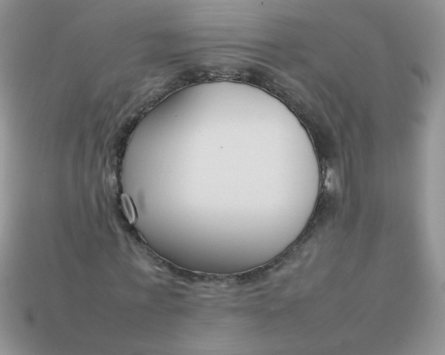 X0000113030771200909101857