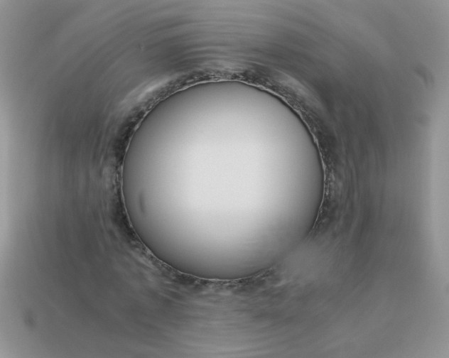 X0000113030773200909101857