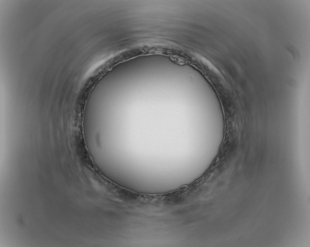 X0000113030775200909101857