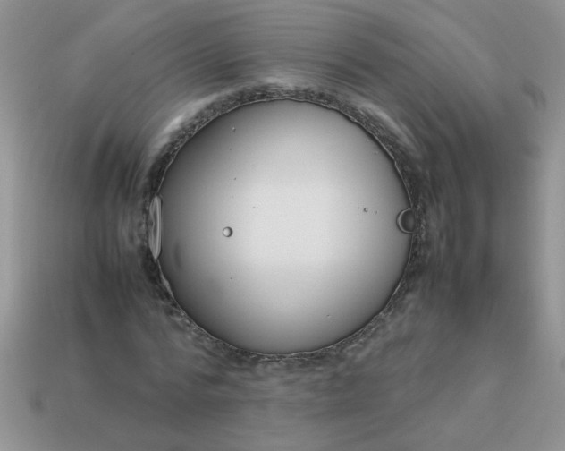 X0000113030776200909101857