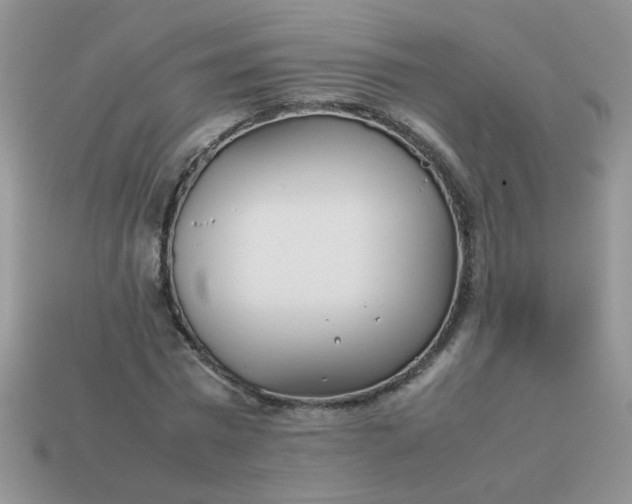 X0000113030777200909101857