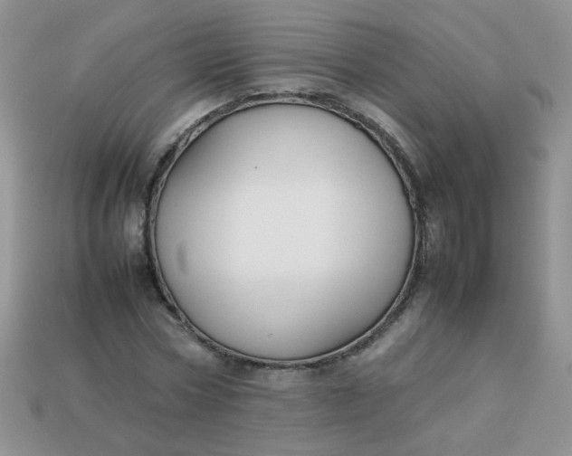 X0000113030778200909101857