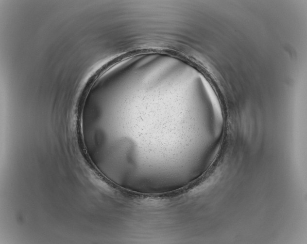 X0000113030779200909101857