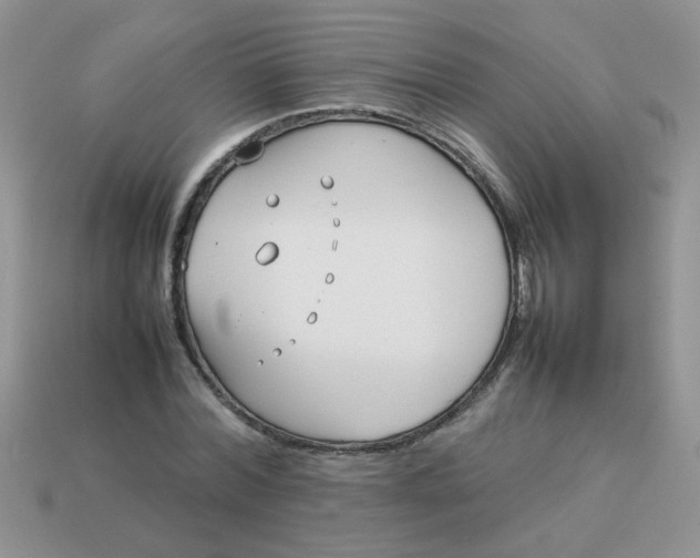 X0000113030780200909101857