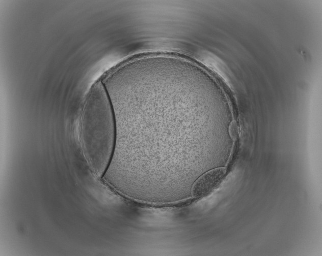 X0000113030781200909101857