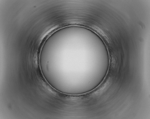 X0000113030782200909101857