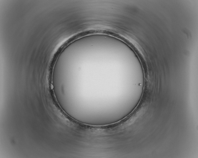 X0000113030783200909101857