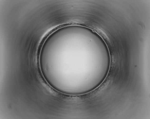 X0000113030784200909101857