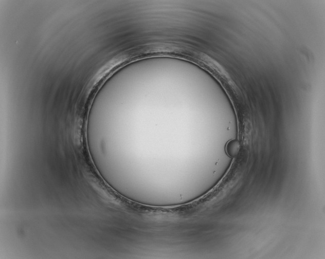 X0000113030786200909101857