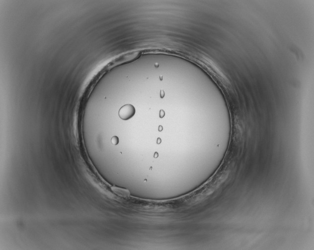 X0000113030788200909101857