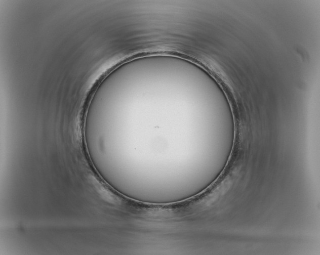 X0000113030789200909101857