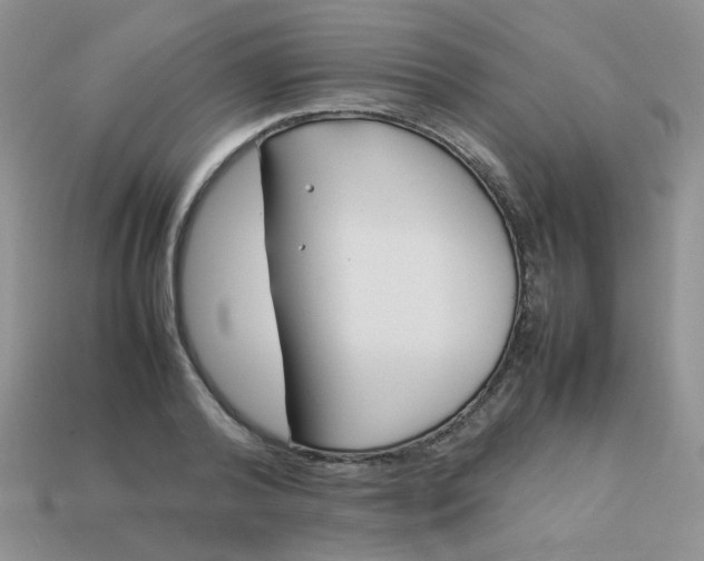 X0000113030792200909101857