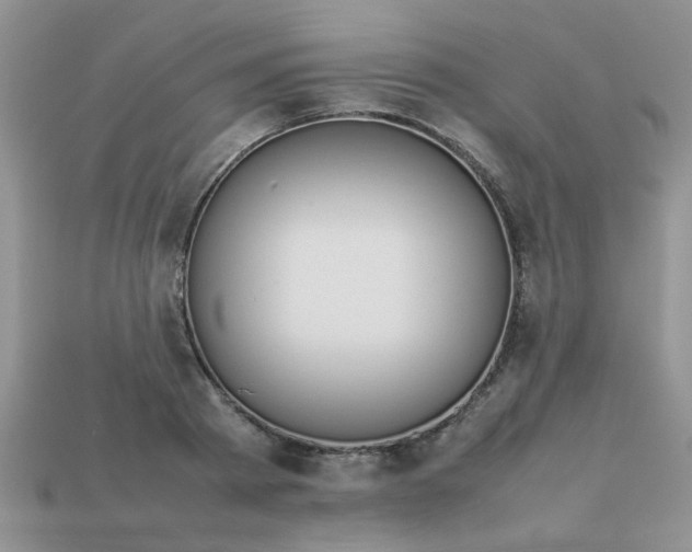 X0000113030793200909101857