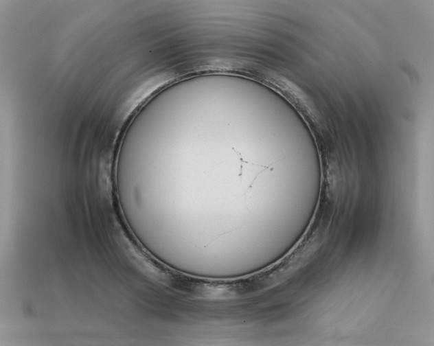 X0000113030794200909101857