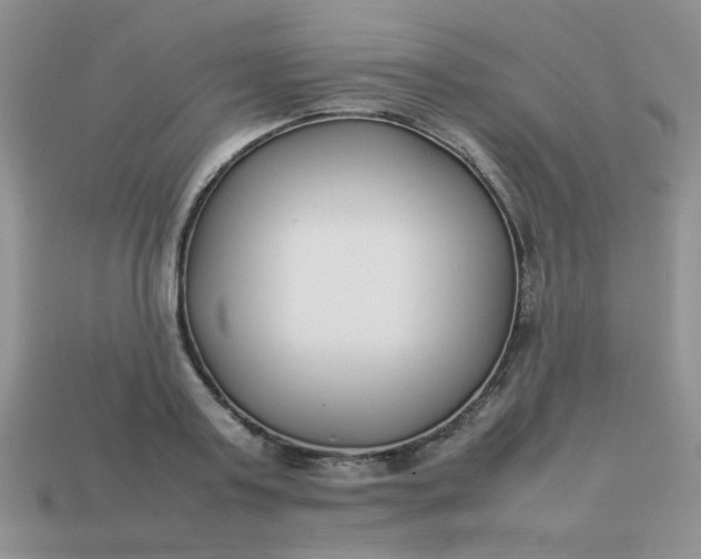 X0000113030795200909101857