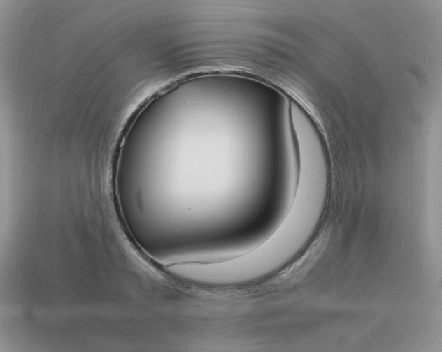 X0000113030797200909101857