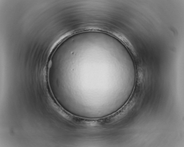 X0000113030798200909101857