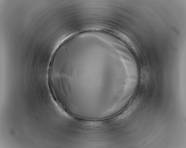 X0000113030802200909101857