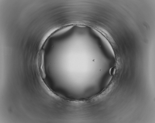 X0000113030804200909101857