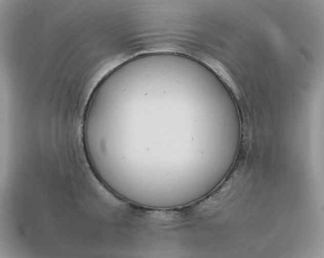 X0000113030805200909101857