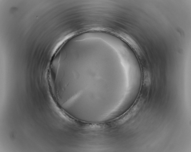 X0000113030806200909101857