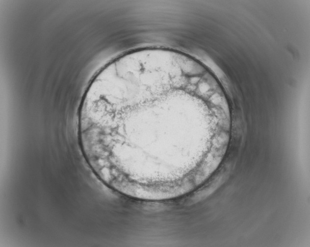 X0000113030807200909101857