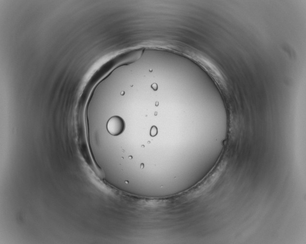 X0000113030808200909101857