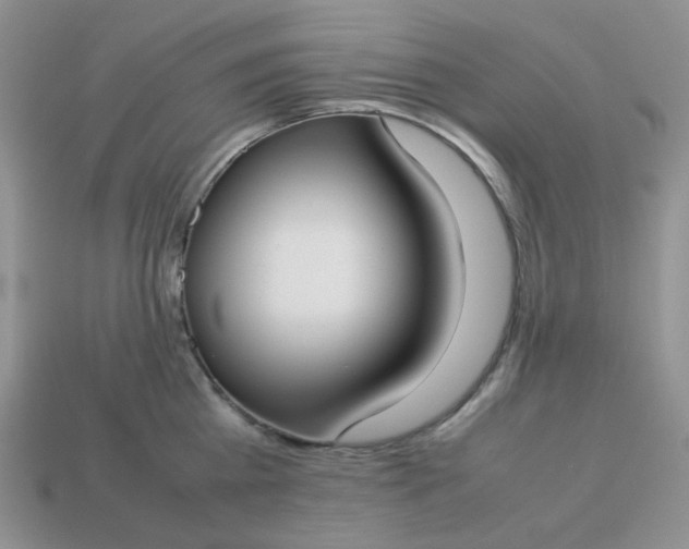 X0000113030809200909101857