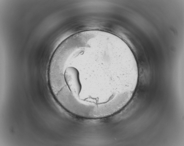 X0000113030810200909101857