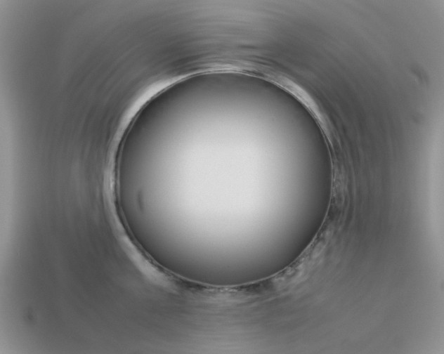 X0000113030811200909101857