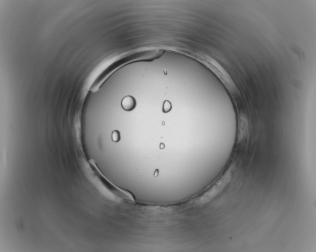 X0000113030812200909101857