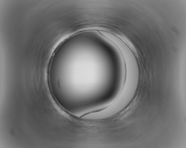 X0000113030813200909101856